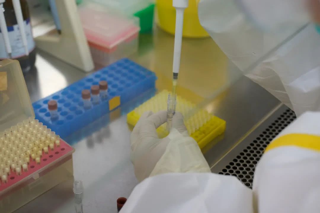 核酸檢測又降價！多地增設(shè)24小時檢測服務(wù)機(jī)構(gòu)